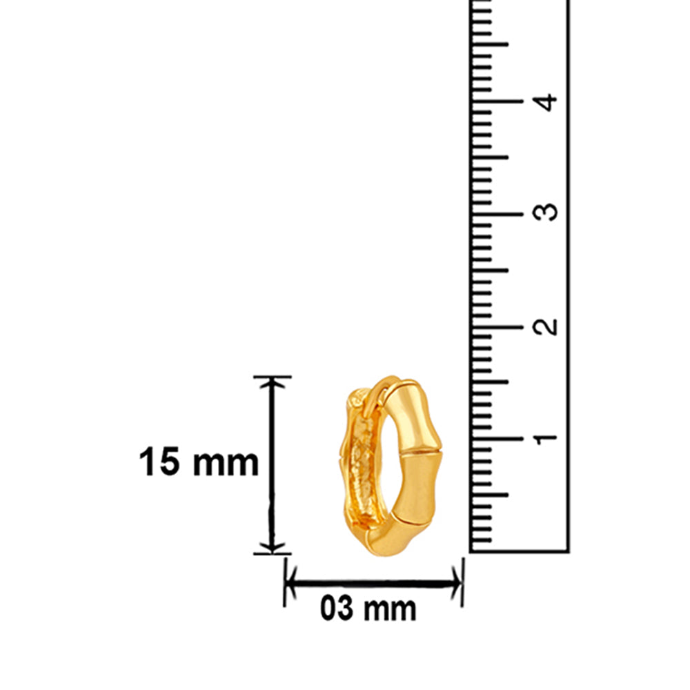 Mahi Gold Plated Exquisite Piercing Hoopp Bali Pair of Mens Earrings (ER1109453GMen)