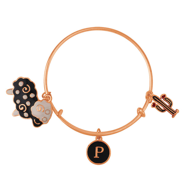 Alex and ani cactus on sale bracelet